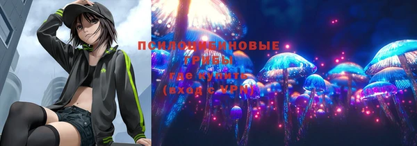 круглые Алзамай