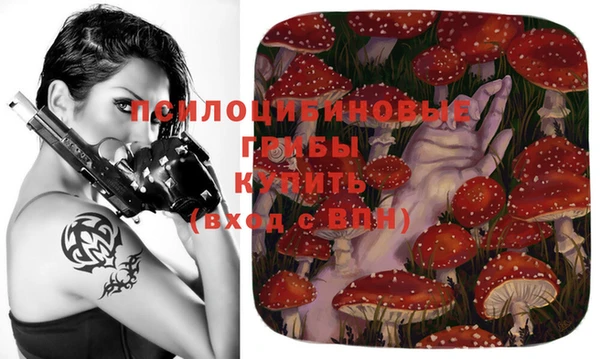 прущие грибы Болохово