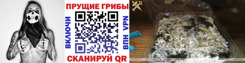 Галлюциногенные грибы Cubensis  Апатиты 